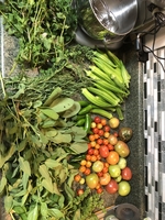 Eat Your Medicine!