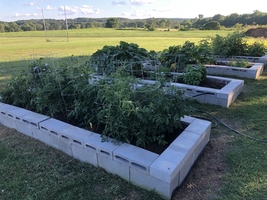 Action For Healthy Kids/Adair County 4-H Garden