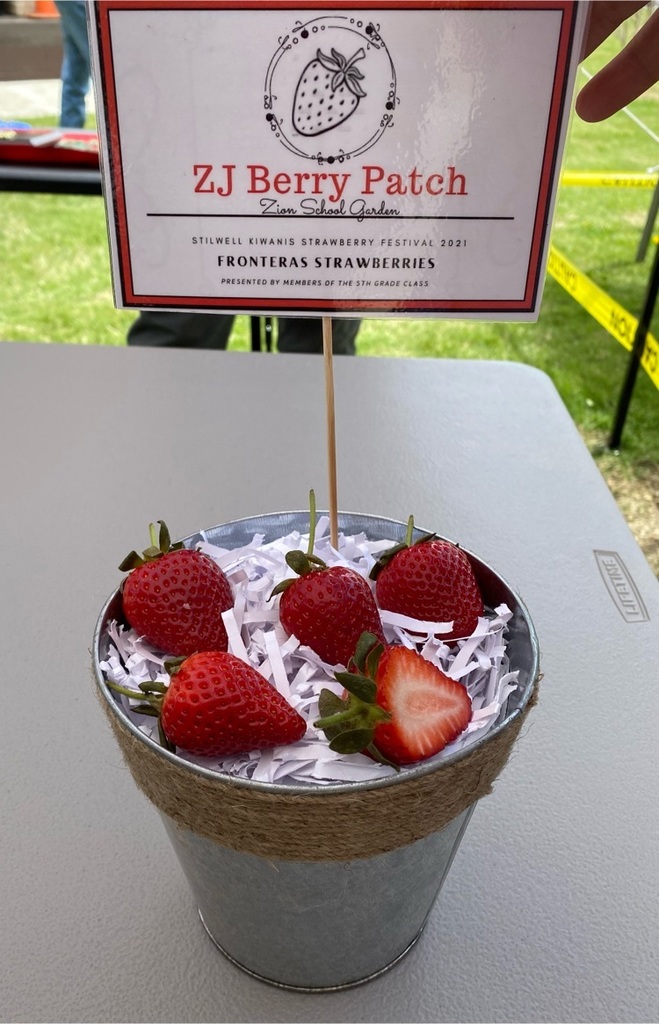 The winning entry