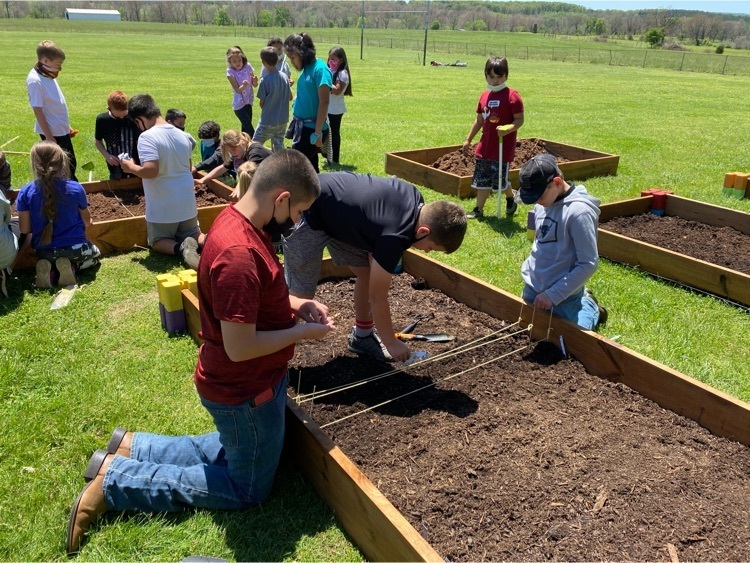 planting seeds