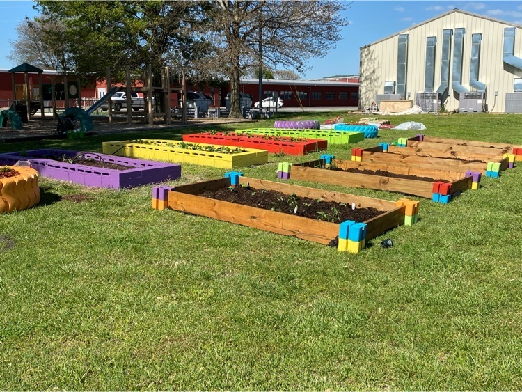colorful and fun