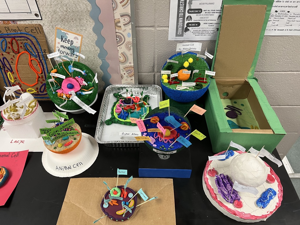 Cell Models
